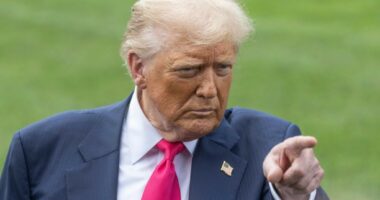 Love him or hate him âthere's never been a president like Donald Trump